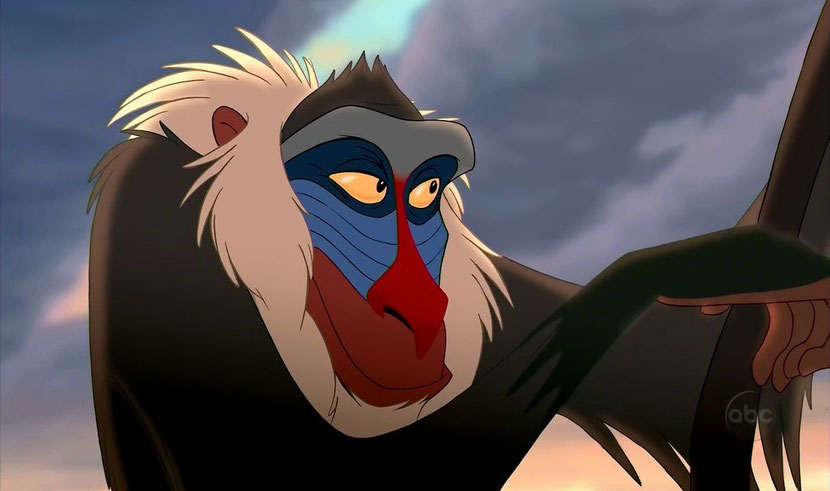 animaux disney rafiki singe sorcier mandrill