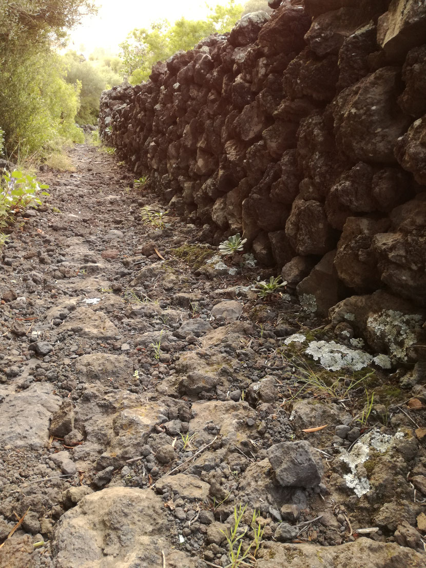 Camino de piedra de la pedanía de Azguán / Camino real de Breña Baja, La Palma. 