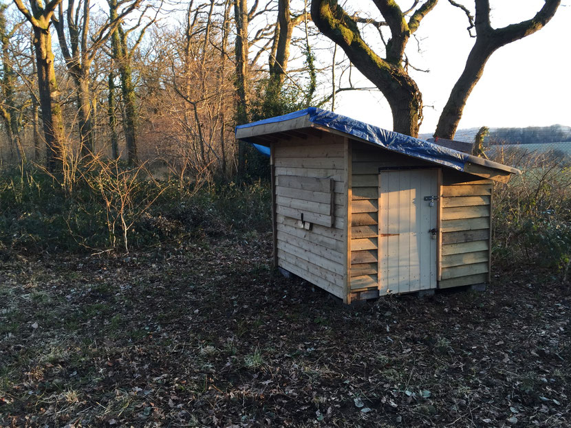 In position but lacking the roof covering. Note how we sat it on concrete blocks with a damp proof course inbetween to stop moisture rotting the floor out and allowing air to circulate underneath.