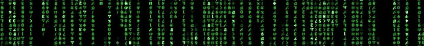 zoology-stats-cadet-programmes Webseite!