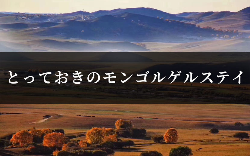とっておきの特別モンゴルゲルステイ