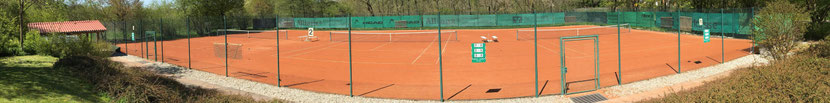 TV Waal Abteilung Tennis