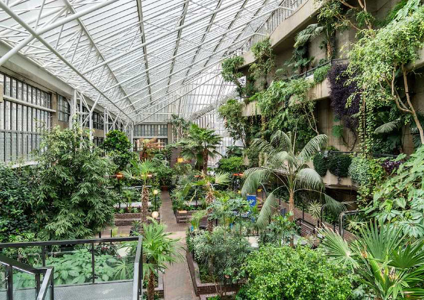 Barbican Conservatory London 