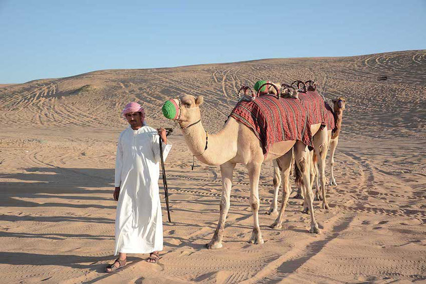 camel riding during Desert Safari in Dubai