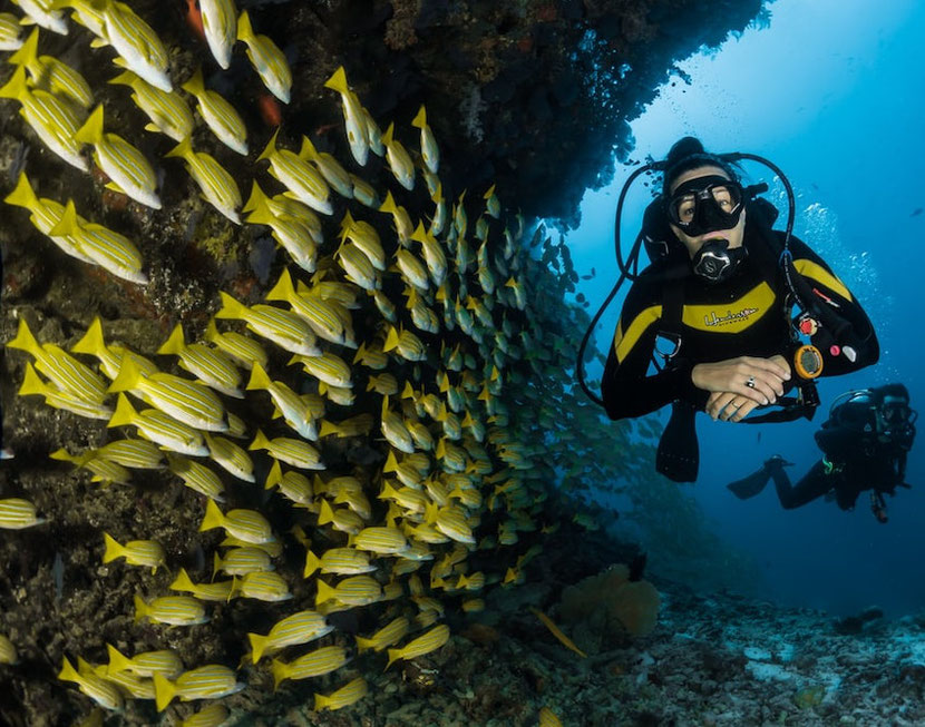 diving near Athens in Nea Makri 