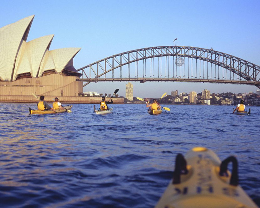 Sydney harbour kayaking 