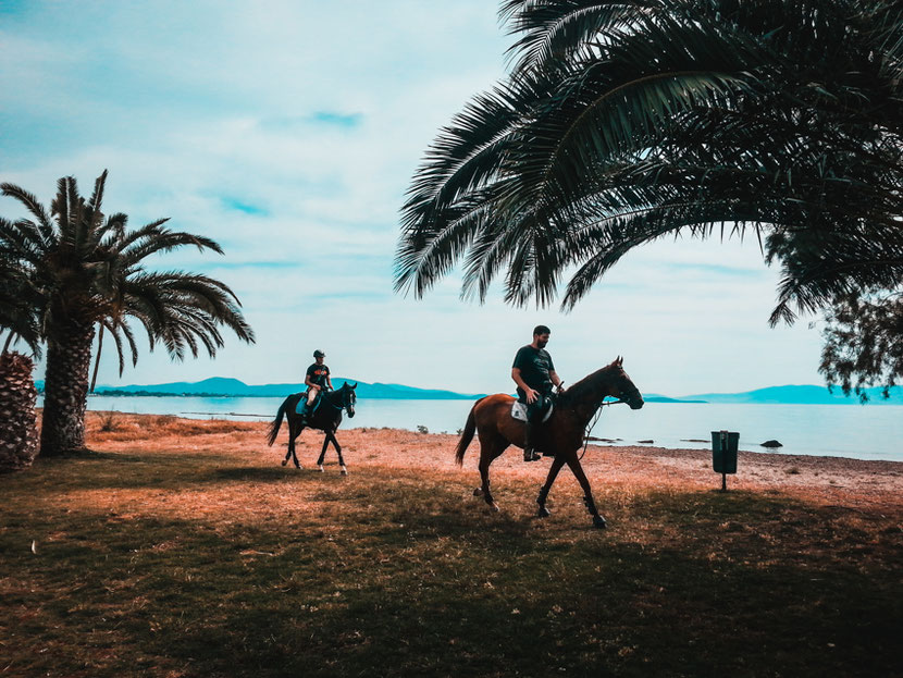 horse riding in Nea Makri and Marathon, near Athens 