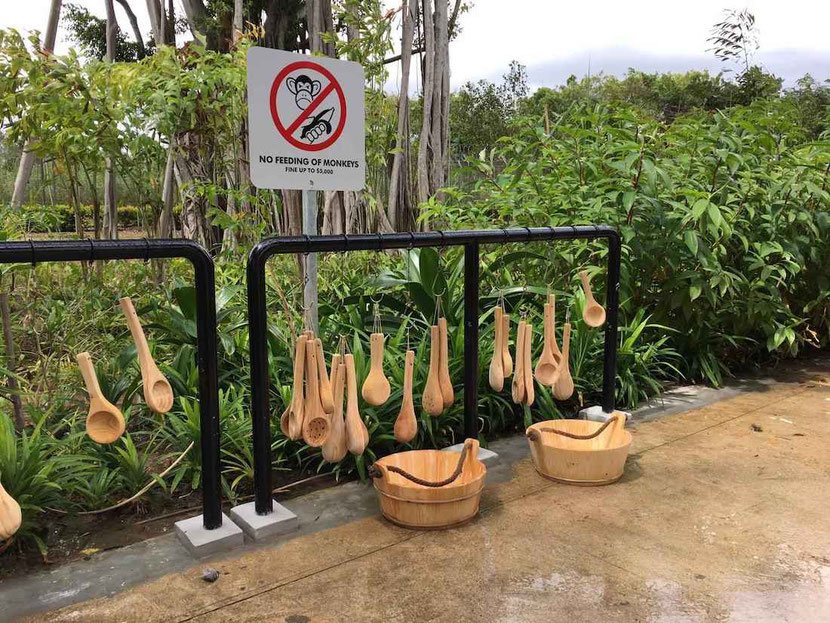 wooden pails and scoops at singapore hot springs 