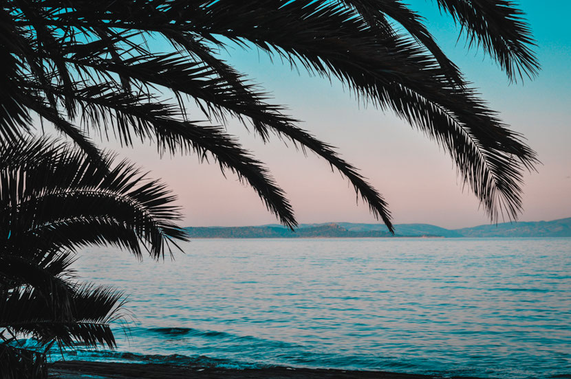 clean sea, palm trees, mountains and sandy beach, Nea Makri is an ideal holiday destination near Athens