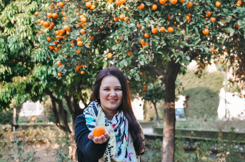 December in Malaga - person showing a tangerine near the tangerine tree 