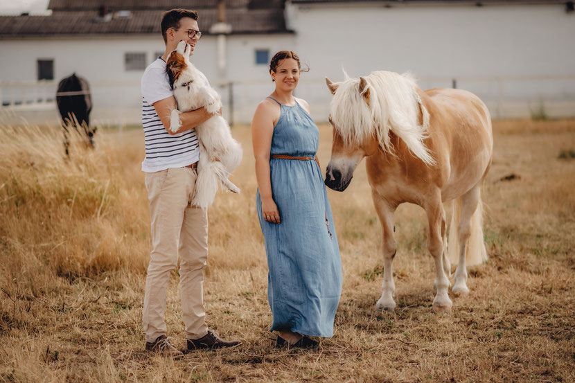 Paarfotoshooting, liebe, rüsselsheim am main, trebur, astheim, darmstadt, mainz, pony, pferdfoto, hundfotografie, fotografie, portrait, liebefotografie, fotograf in Hesssen, Rhein-main-Gebiet, hochzeitsfotografie