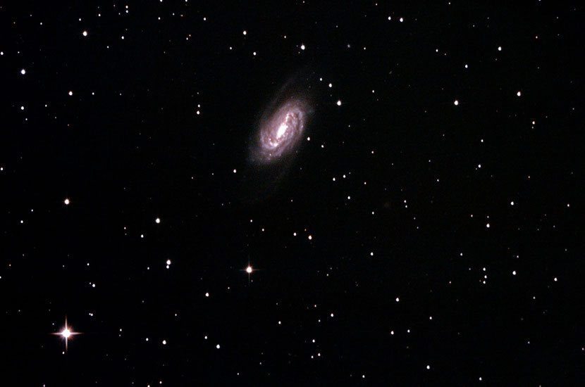 ngc 2903