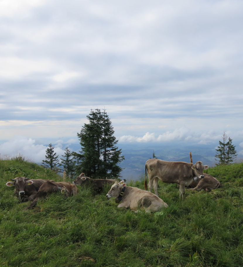 kein Stress, nicht stören lassen, immer ruhig bleiben, Stress vermeiden, Aussicht genießen