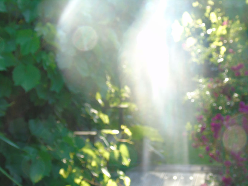 Ich bin dein Engel der tröstenden Worte, Quelle: www.lichtwesenfotografie.com