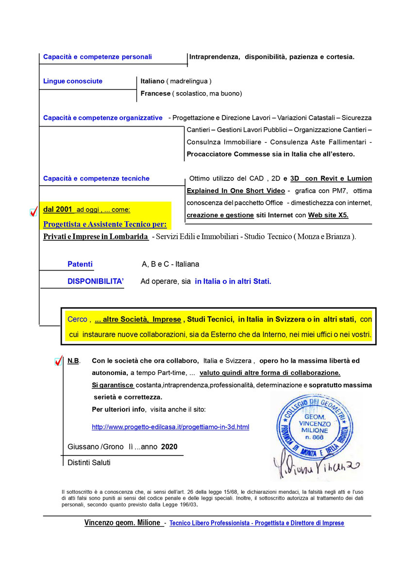 Curriculum vitae geometra image