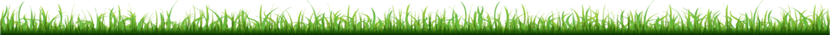 Gras Banner