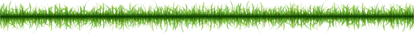 Gras Banner