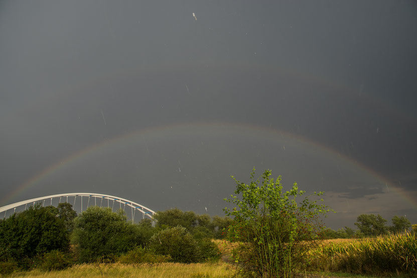 Elbebrücke im Regen