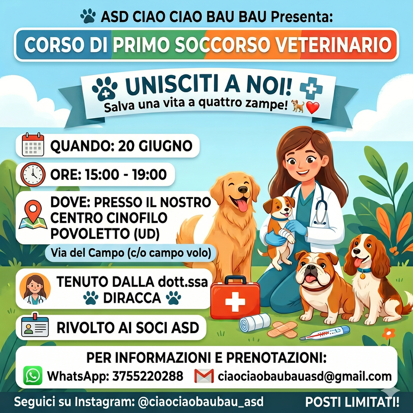 Un pomeriggio dedicato ad affrontare le piccole emergenze dei nostri cani