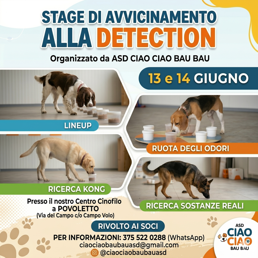 Un pomeriggio dedicato ad affrontare le piccole emergenze dei nostri cani