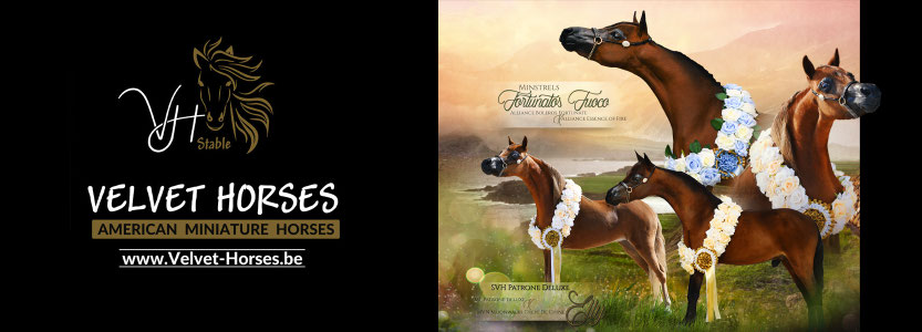 De website van velvet-hors!