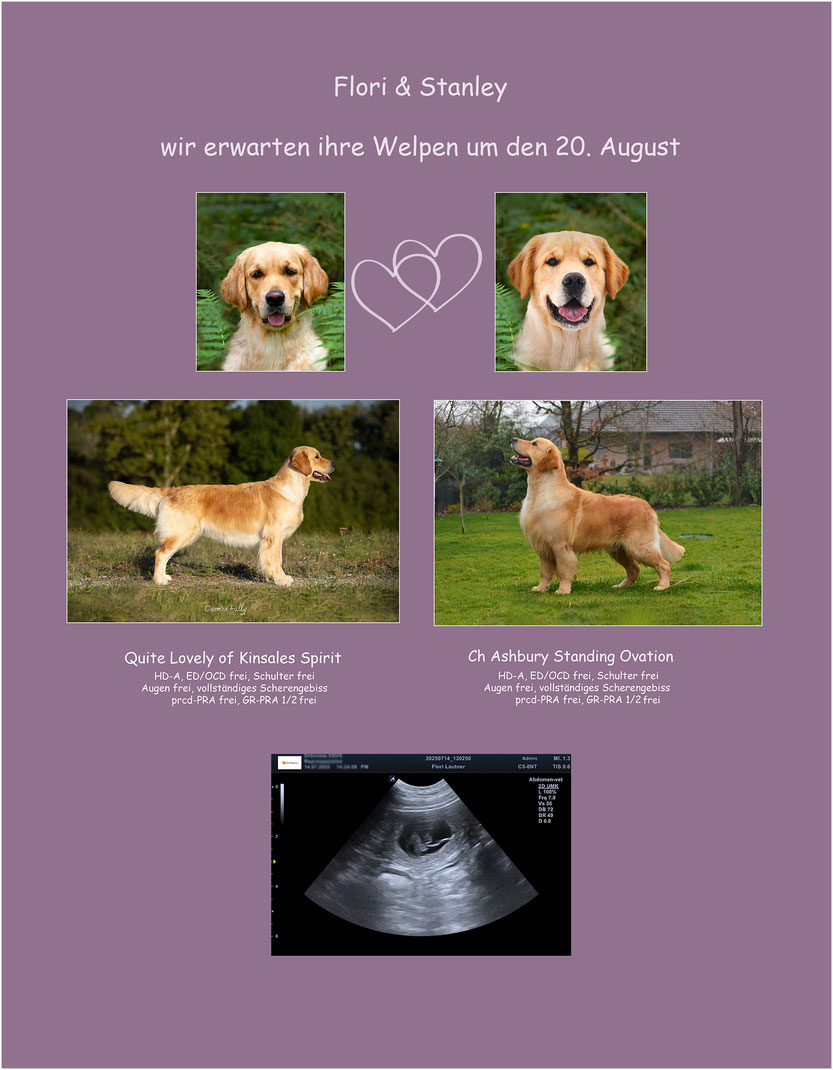 Flori wurde gedeckt