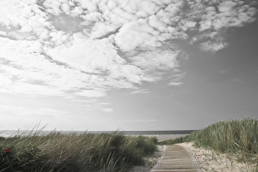 Dünenweg - Übergang zum Strand, Insel Langeoog