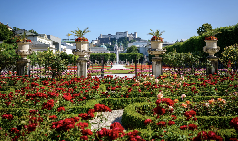 Rosengarten im Mirabellgarten in Salzburg,©Tourismus Salzburg GmbH 