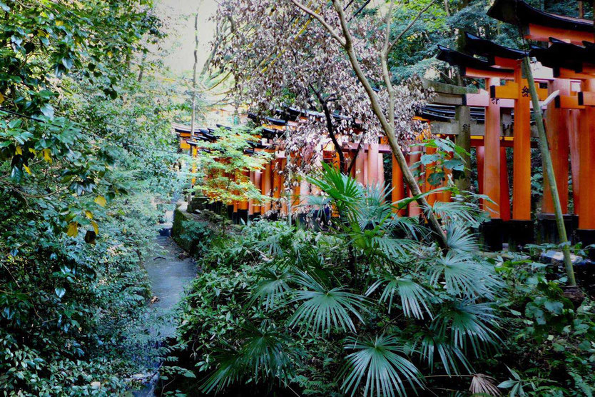 Besuch Fushimi-Inari-Taisha berühmtester Schrein Tempel Kyoto 1000 Tausend Tore Reisebericht