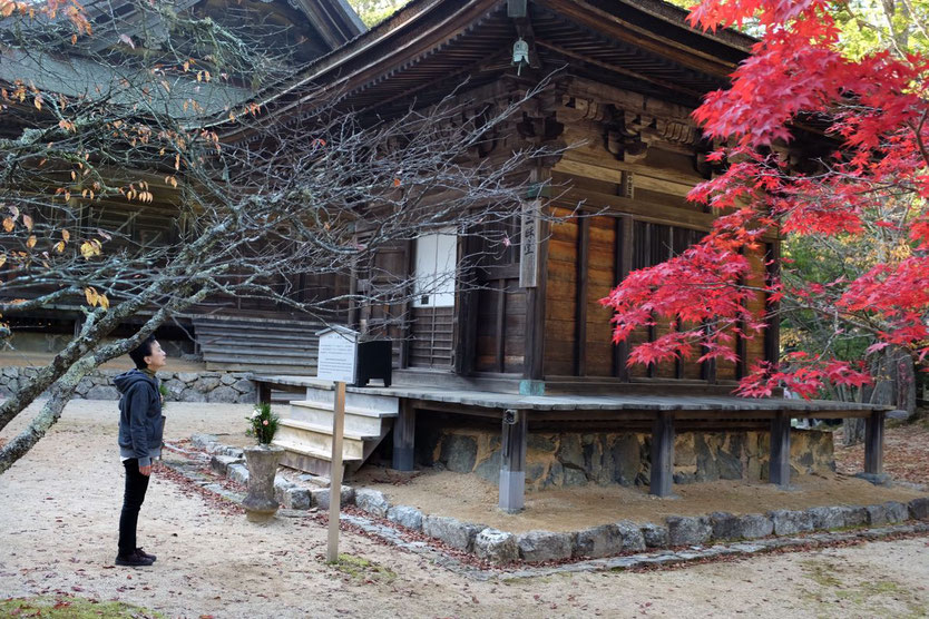 Japan Koyasan Tipps Sehenswürdigkeiten Highlights Danjo Garan Tempelkomplex