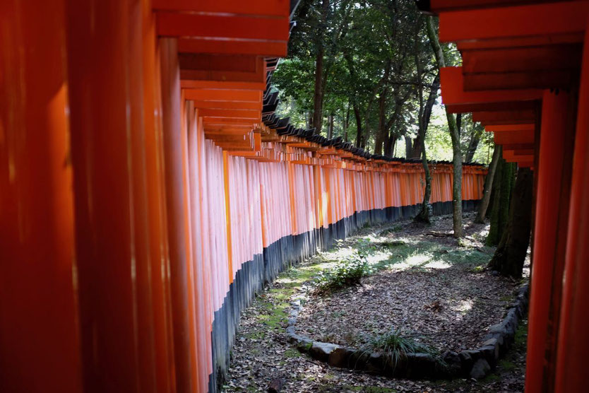 Fushimi-Inari-Taisha Öffnungszeiten, Opening Fuchs Schrein Tempel Kyoto 1000 Tausend Tore Torii by night Reisebericht