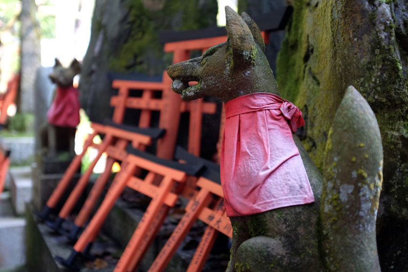 Inari Schrein Fuchs Fushimi Inari Torii walk Kyoto Highlight Schrein Tempel der 1000 Tore