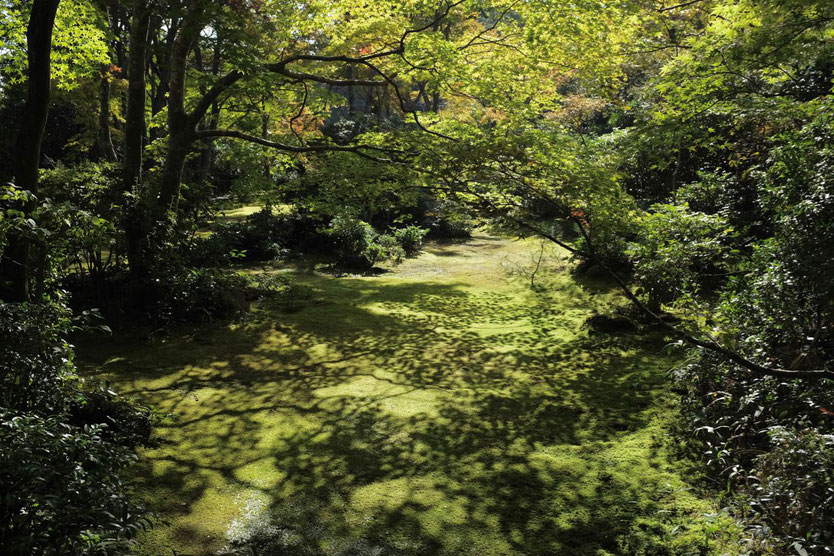 Kyoto Ausflug Arashiyama Okochi Sanso Villa by movie star Denjiro Okochi 