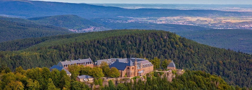 Les amis "du Mont Sainte Odile" Club Vosgien