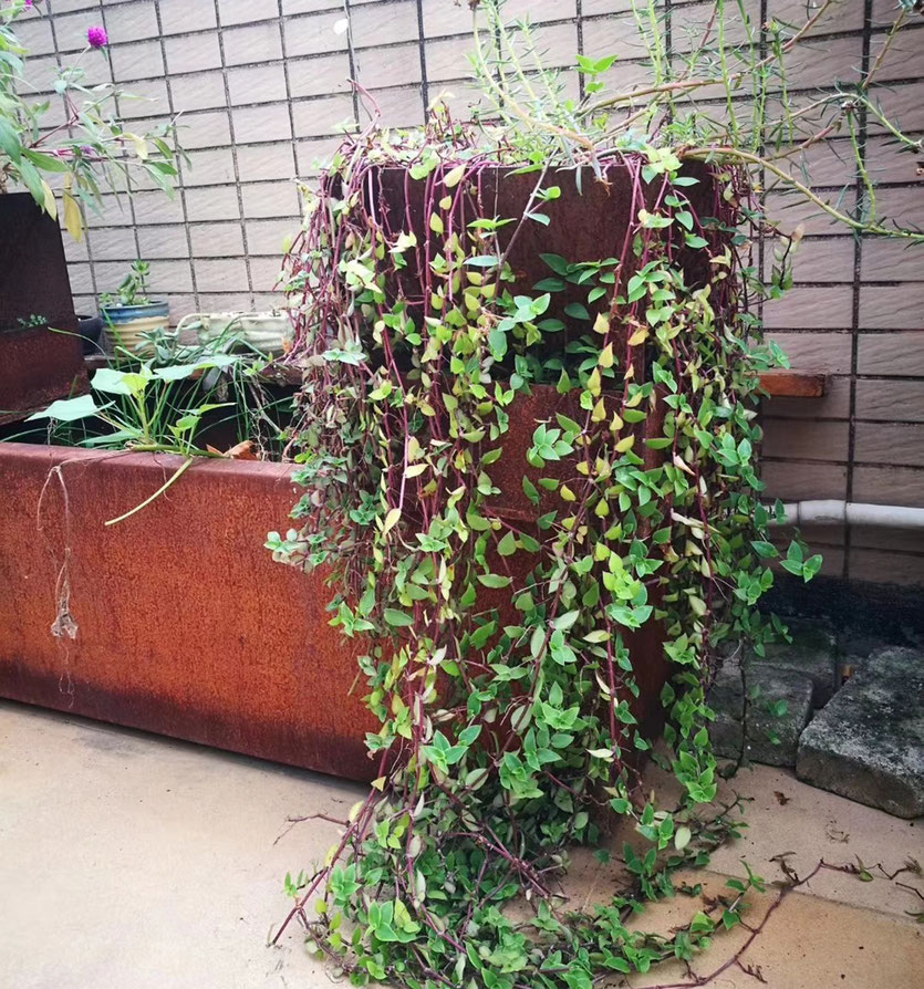 Corten steel with dark red color
