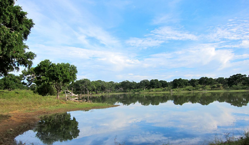 Yala Nationalpark Sri Lanka