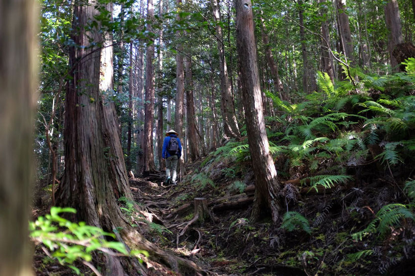 Japan Pilgerweg Kumano Kodo wandern pilgrimage route trek itinerary map hongu taisha