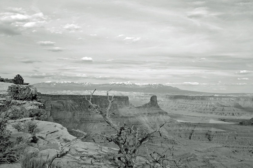 Grand View Point, Island in the Sky, Canyonlands NP