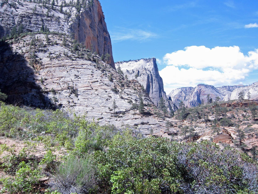 Observation Point Trail, Zion NP