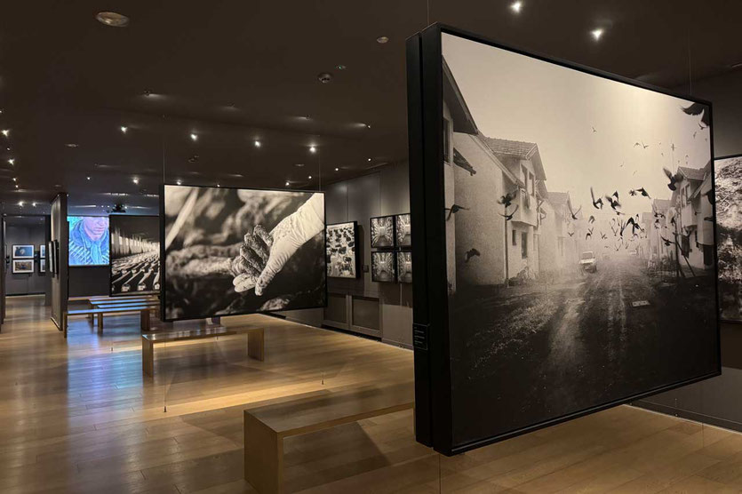Srebrenica-Ausstellung Galerija 11/07/95 Sarajevo