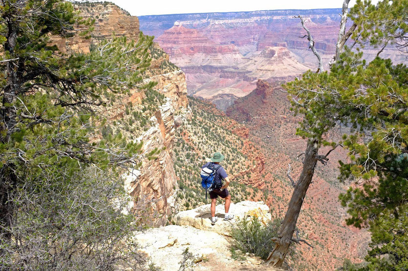 Am South Rim Trail Grand Canyon