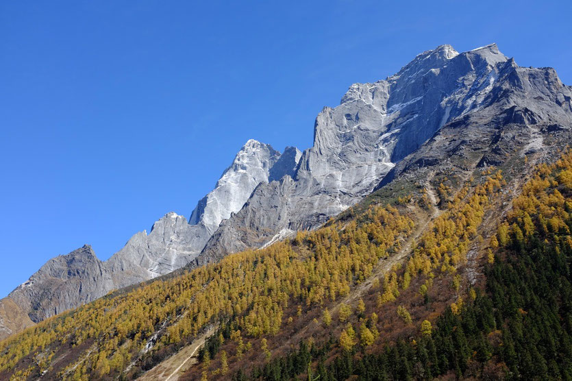 Shuangqiao Valley (双桥沟), Mount Siguniang Nature Reserve