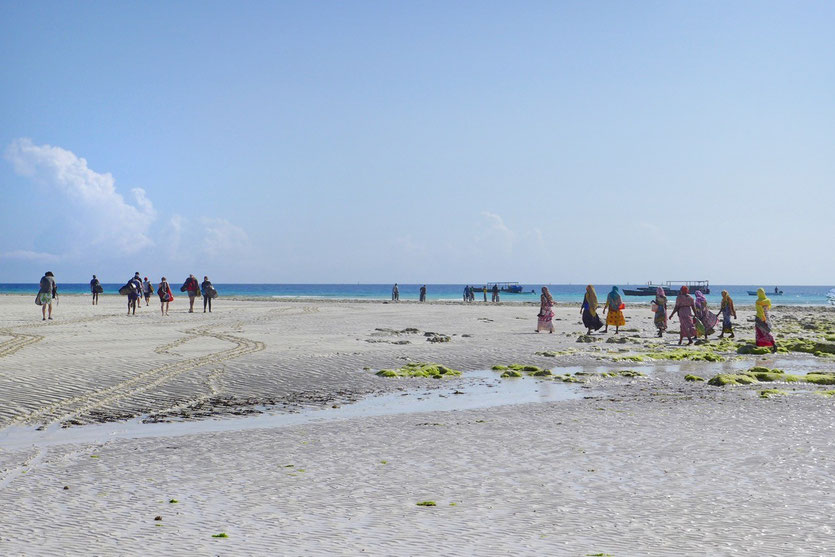 Scuba Diving snorkling tour Zanzibar east coast