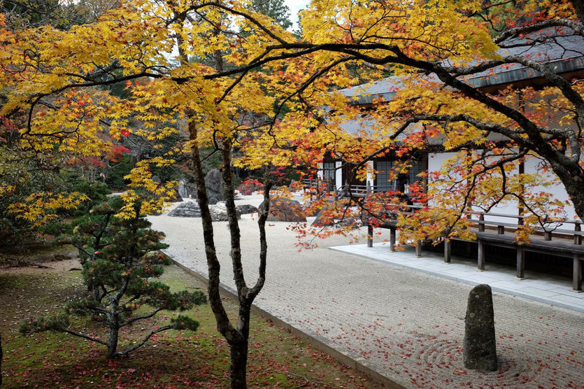 Koyasan Highlights Tempel Steingarten Herbstfärbung foliage