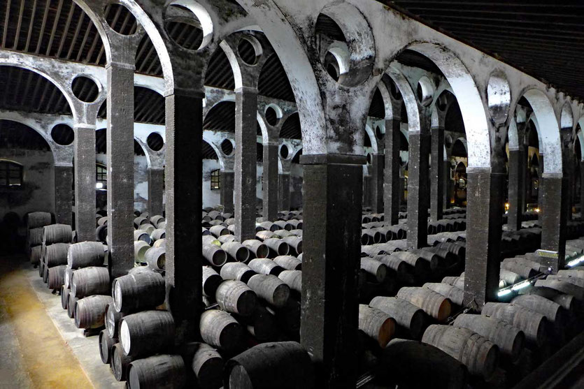 Die 'Kathedrale' der Bodegas Barbadillo in Sanlucar