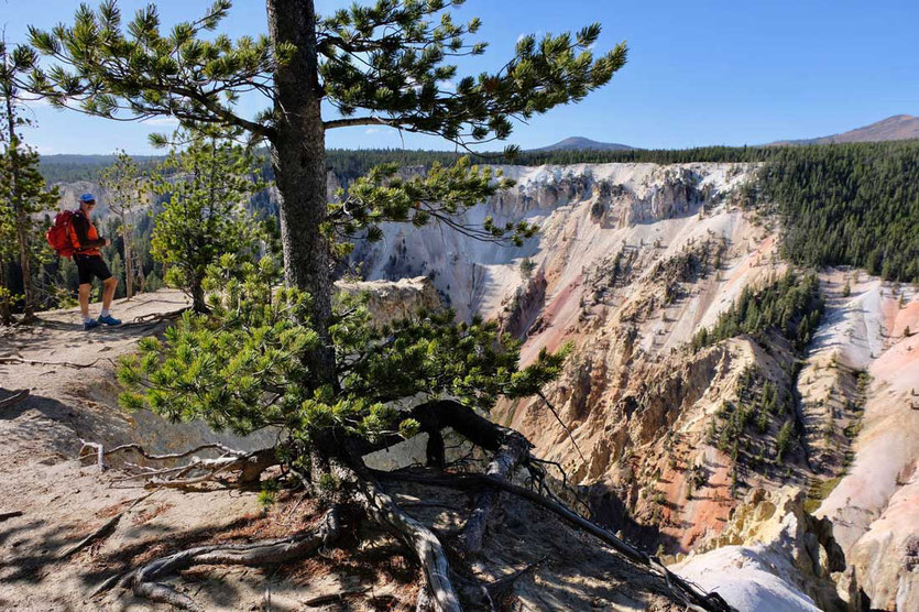 Trail Artist Point South Rim Trail Yellowstone Nationalpark