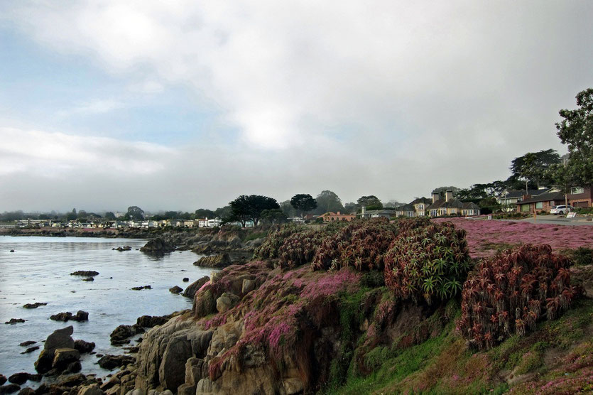 Pacific Grove, Monterey Peninsula