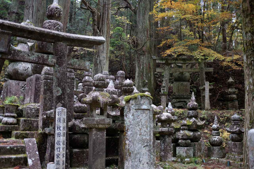 Japan Tempelübernachtung in Koyasan Steingarten Besuch alter Friedhof Okunoin