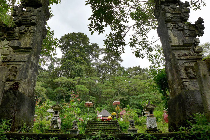 Munduk Vulkan Seen Wanderung Aktivitäten Bali