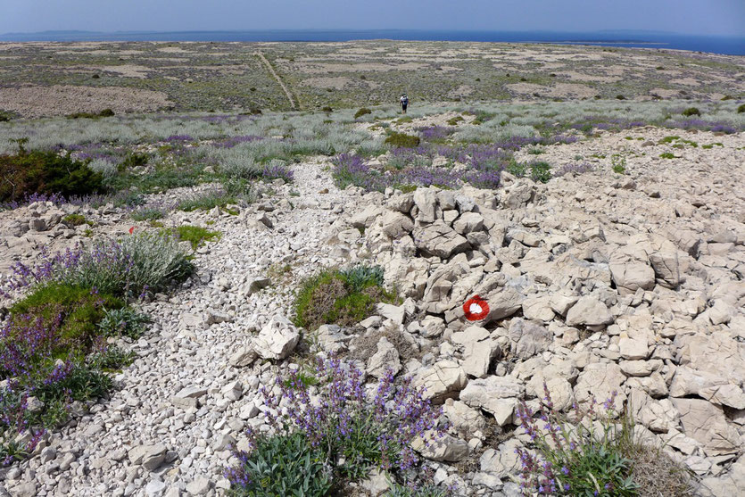 Insel Pag Wanderung Sveti Vid Berg Kroatien